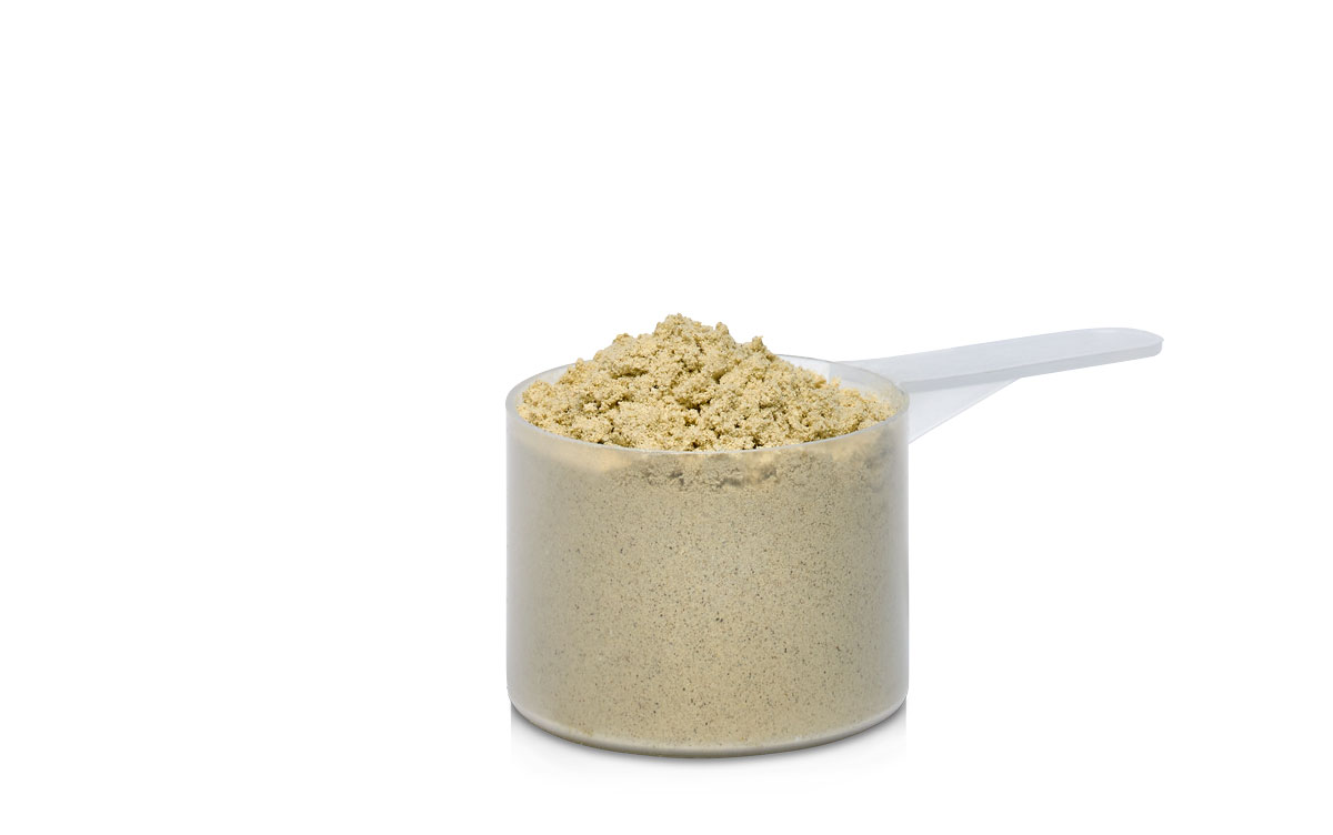 Figur Balance Protein Kick