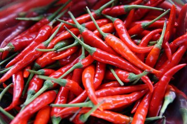 Chili Würzöl